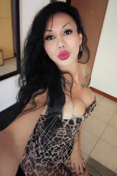 Foto selfie 9 di Adriana Paulett transescort Paese