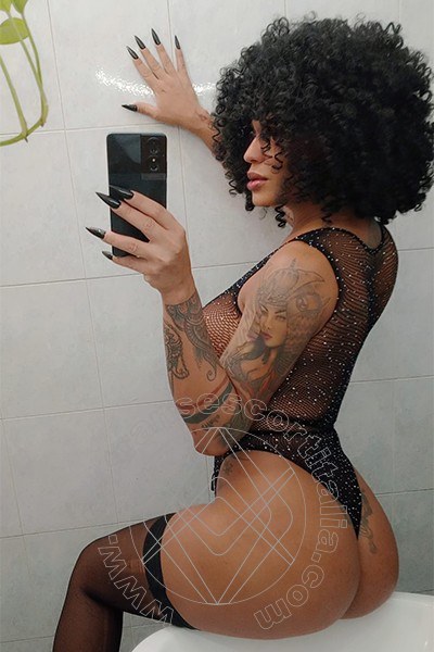 Foto selfie 1 di Serena transescort Torino