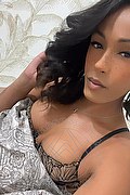 Foto selfie 2 di Gabrielly Victoria transescort Parigi