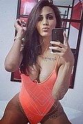 Foto selfie 1 di Nicolly Hilton transescort Somma lombardo