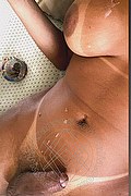 Foto selfie hot di Nicolly Hilton transescort Somma lombardo