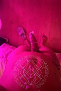 Foto selfie hot 2 di Lara melo transescort Bologna