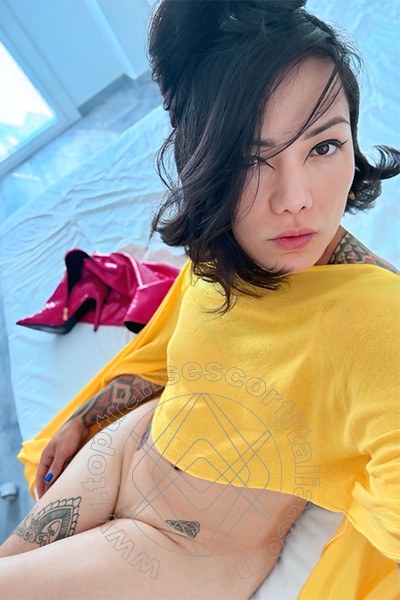 Foto selfie 29 di Jj La Numero Uno transescort Torino