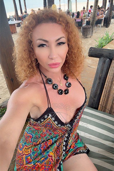 Foto selfie 5 di Leslyn transescort Piacenza