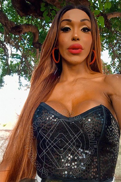 Foto selfie 15 di Wanessa Armani transescort Frosinone