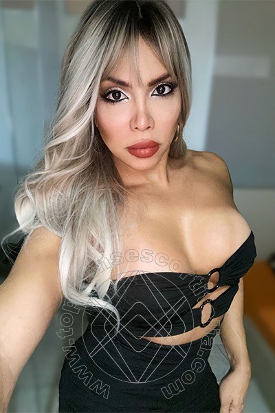 Foto selfie 18 di Karina Becker transescort Bologna