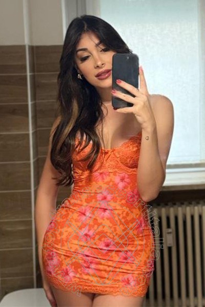Foto selfie 5 di Safina transescort Roma