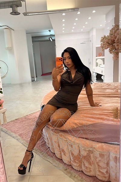 Foto selfie 9 di Manuella transescort Torino