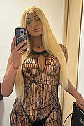 Foto selfie 1 di Keitty Tolposky transescort Salvador bahia