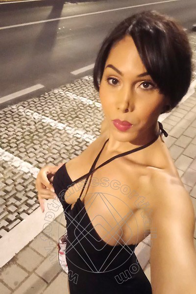 Foto selfie 2 di Paula transescort Montesilvano