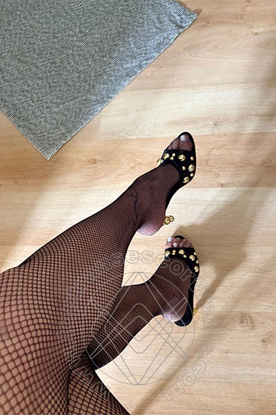 Foto selfie 15 di Valeria transescort Treviso