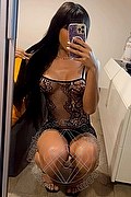 Foto selfie 2 di Arielli Collins transescort Roma